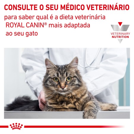 Ração para gato Royal Canin Skin & Coat