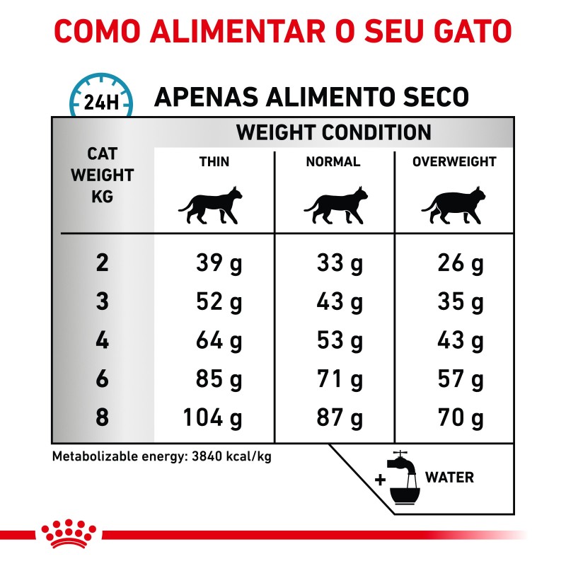 Ração para gato Royal Canin Skin & Coat