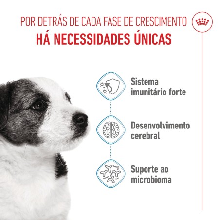 Ração para cão - Royal Canin Puppy Mini