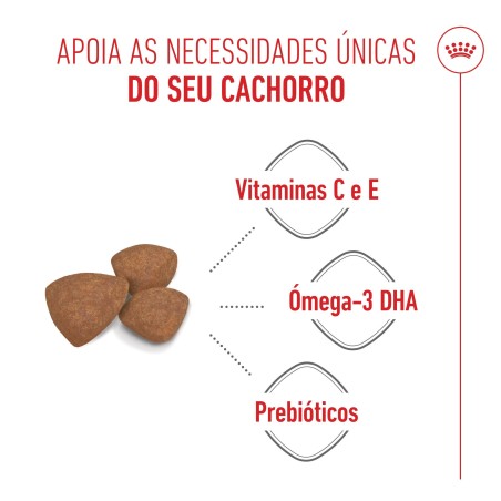 Ração para cão - Royal Canin Puppy Mini