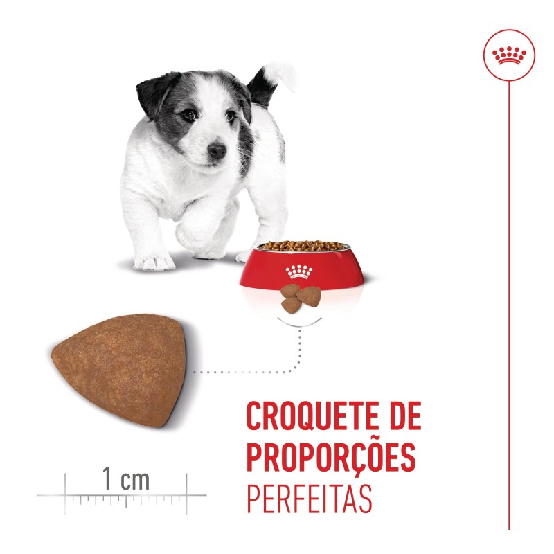 Ração para cão - Royal Canin Puppy Mini
