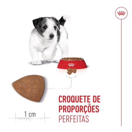 Ração para cão - Royal Canin Puppy Mini