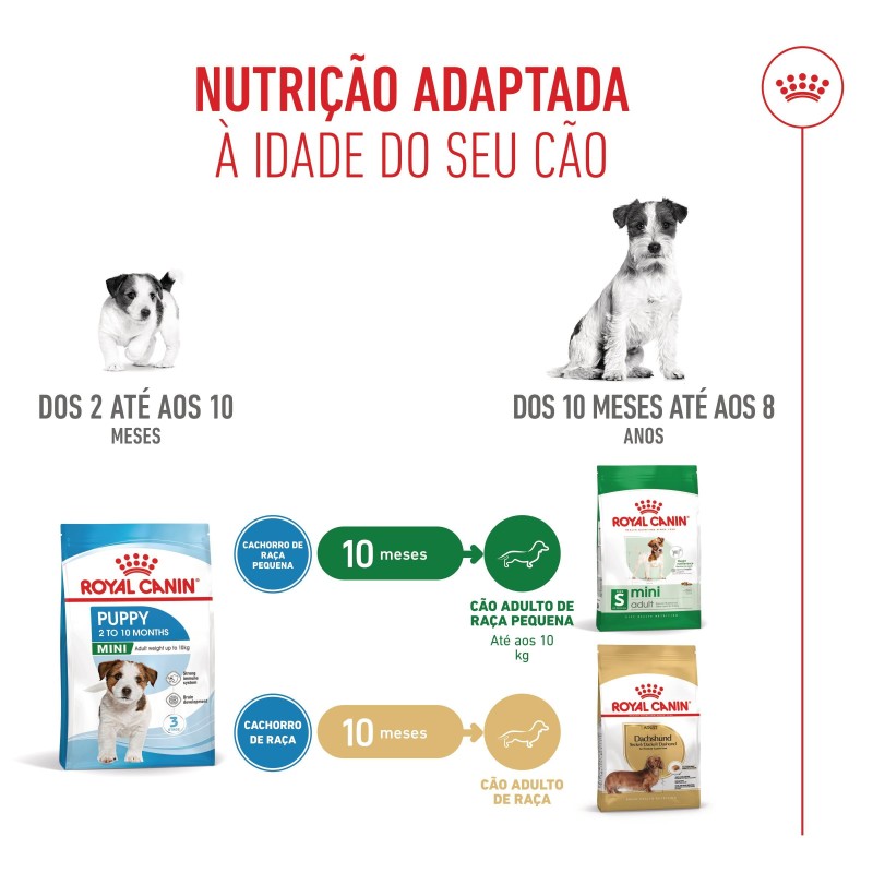 Ração para cão - Royal Canin Puppy Mini
