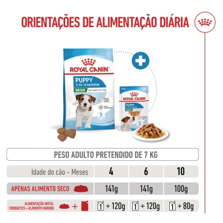 Ração para cão - Royal Canin Puppy Mini