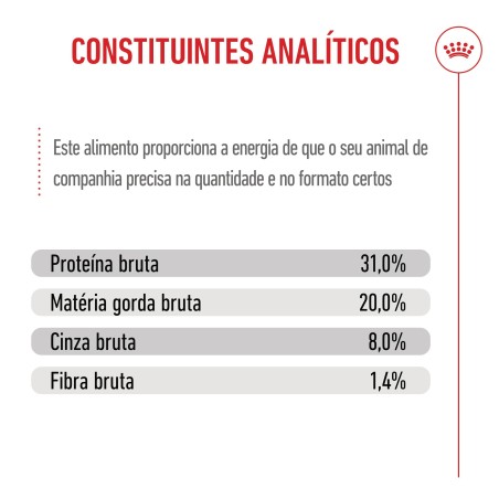 Ração para cão - Royal Canin Puppy Mini