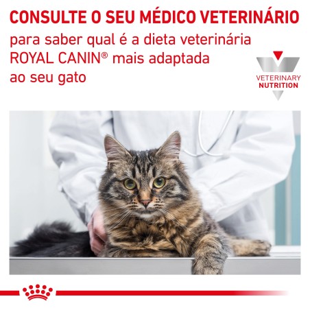 Ração para gato Royal Canin Gastro Intestinal Moderate Calories