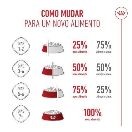 Ração para cão - Royal Canin Puppy Mini