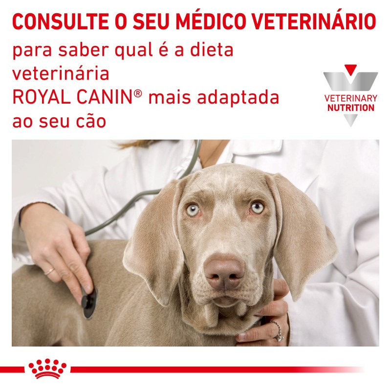 Ração para cão - Royal Canin Urinary U/C