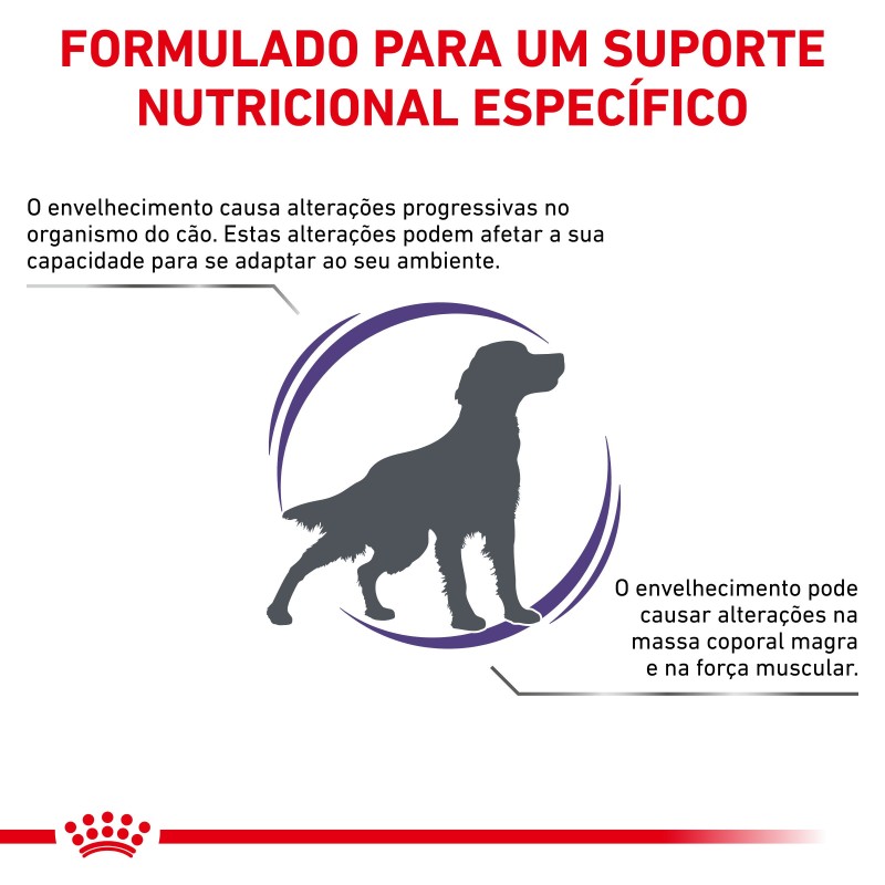 Ração para cão sénior - Royal Canin Mature Consult Medium Dogs
