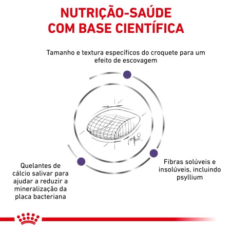 Ração para gato Royal Canin Dental