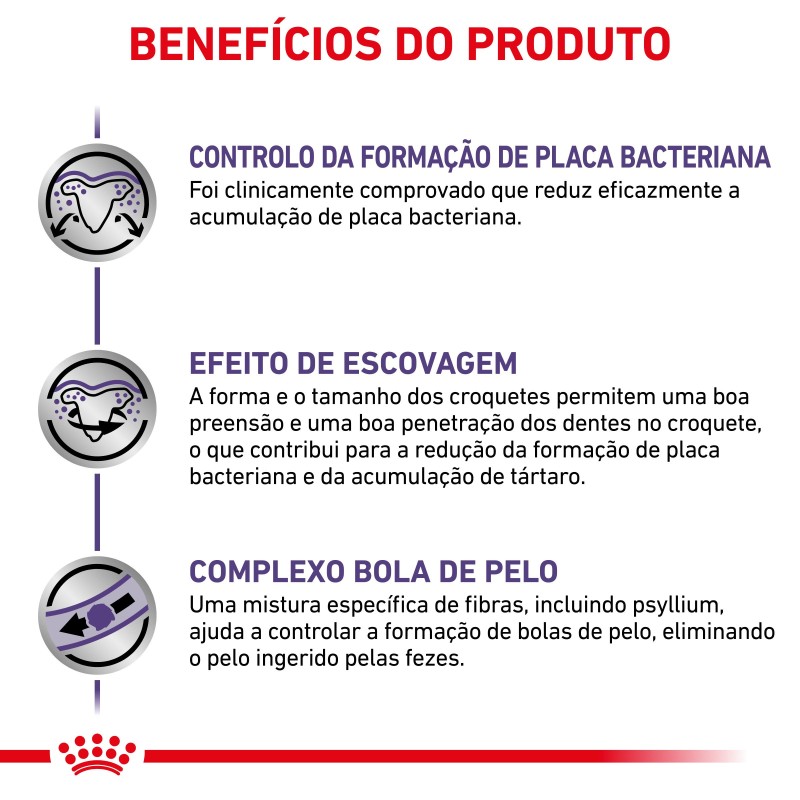 Ração para gato Royal Canin Dental