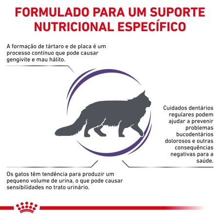 Ração para gato Royal Canin Dental
