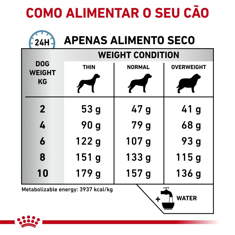 Ração para cão Royal Canin Skin Care Small Dogs