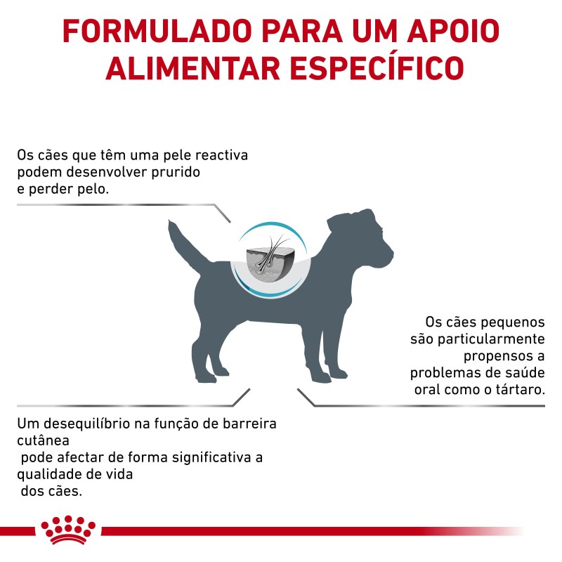 Ração para cão Royal Canin Skin Care Small Dogs