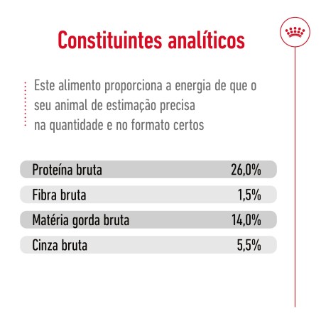 Ração para cão Royal Canin Mini Ageing 12+