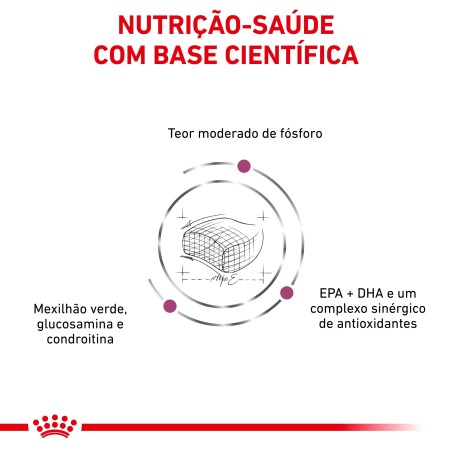 Ração para gato Royal Canin Early Renal