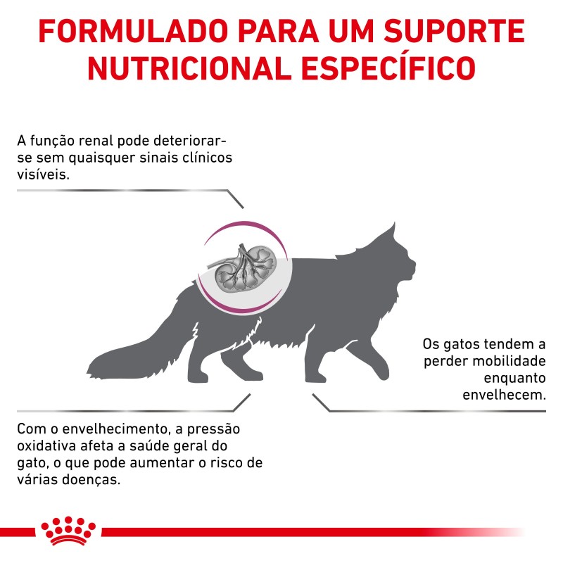 Ração para gato Royal Canin Early Renal