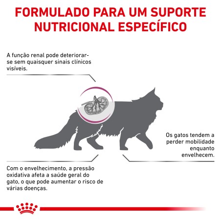 Ração para gato Royal Canin Early Renal
