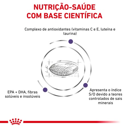 Ração para gatos adultos - Royal Canin Veterinary