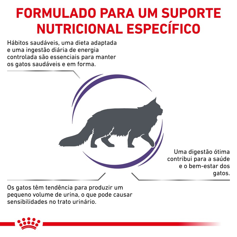 Ração para gatos adultos - Royal Canin Veterinary