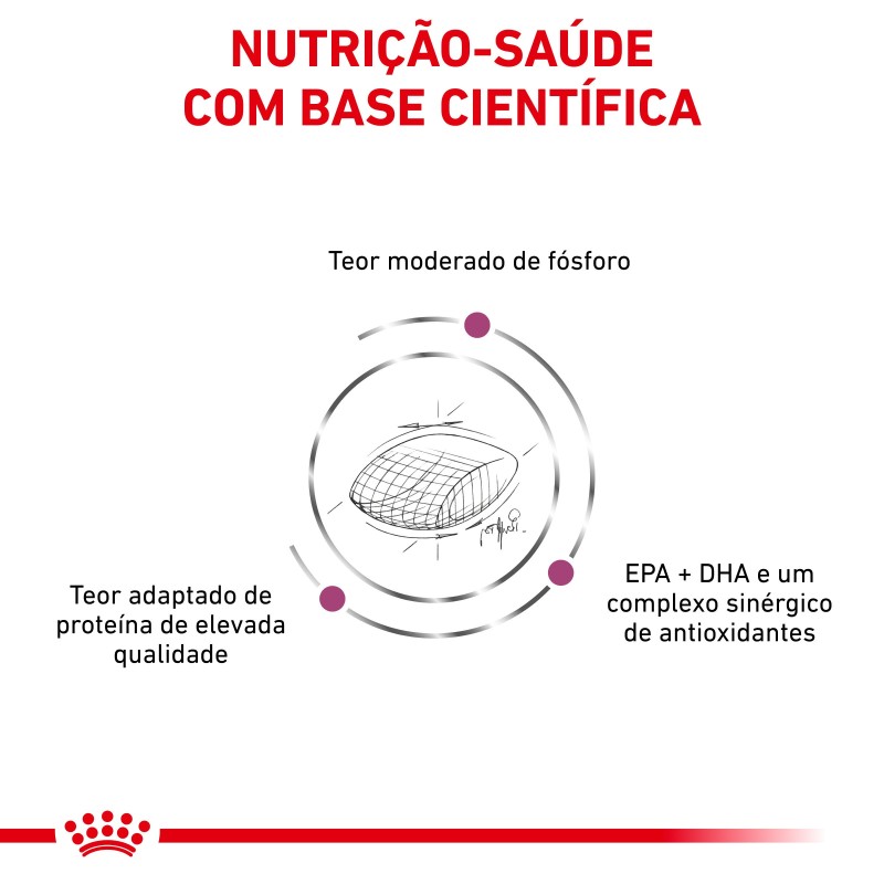 Ração para cão Royal Canin Early Renal