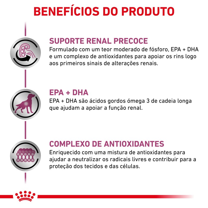 Ração para cão Royal Canin Early Renal
