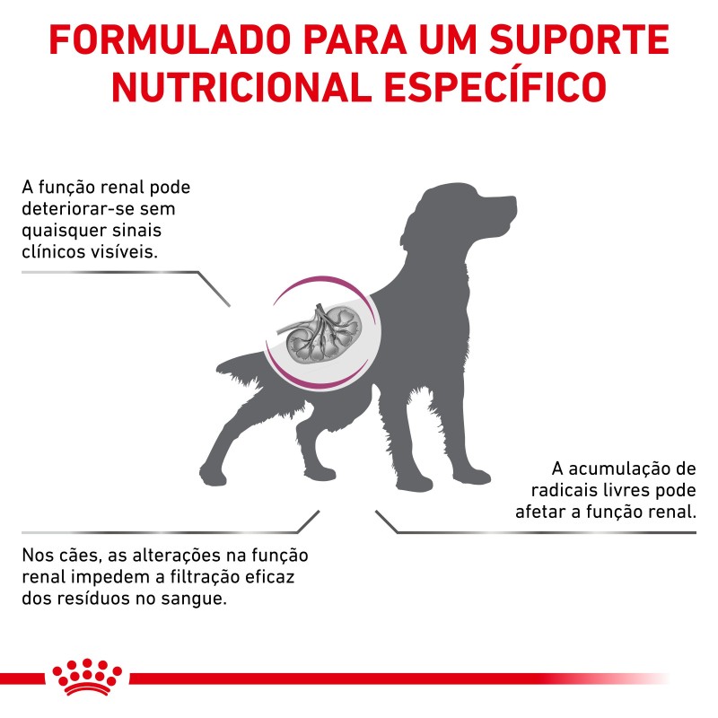 Ração para cão Royal Canin Early Renal