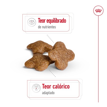 Ração para cão Royal Canin Mini Adulto 8+