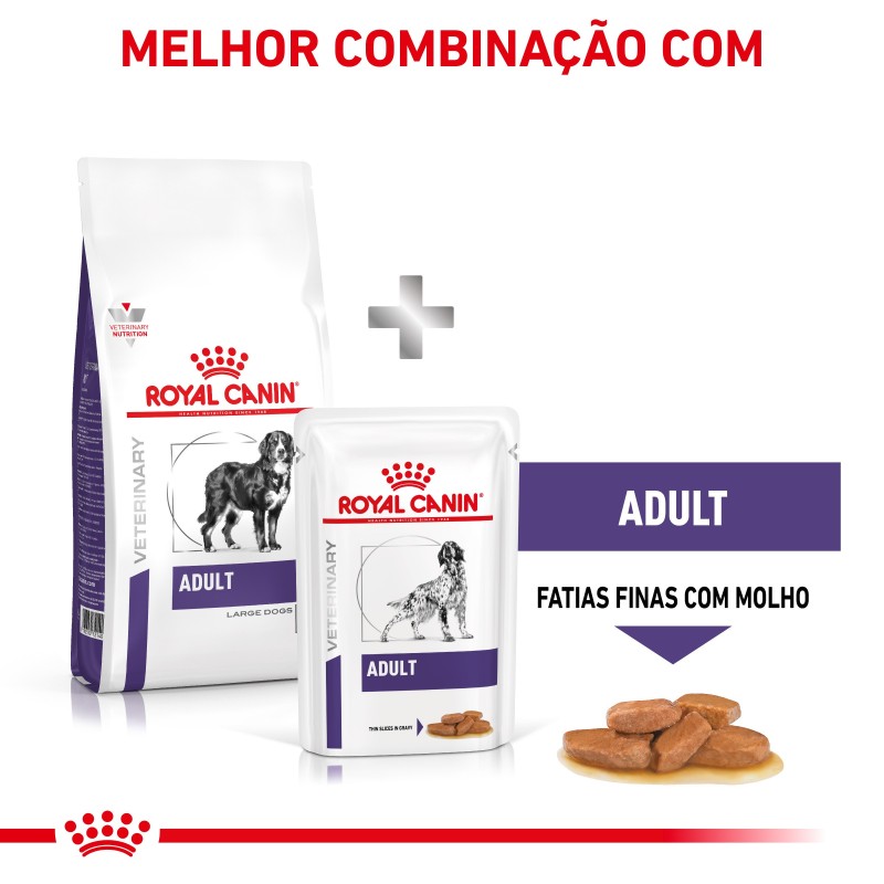 Ração para cão de porte grande - Royal Canin Adult Large Dogs