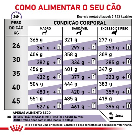Ração para cão de porte grande - Royal Canin Adult Large Dogs