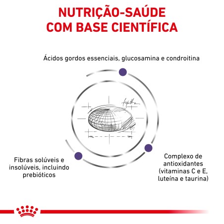 Ração para cão de porte grande - Royal Canin Adult Large Dogs