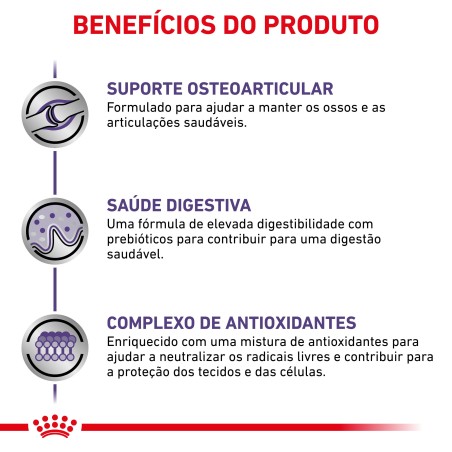 Ração para cão de porte grande - Royal Canin Adult Large Dogs