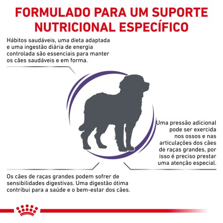 Ração para cão de porte grande - Royal Canin Adult Large Dogs