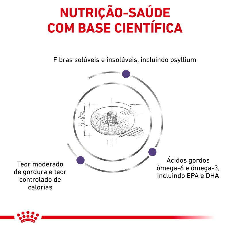 Ração para cão esterilizado - Royal Canin Neutered Adult Medium Dogs