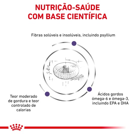 Ração para cão esterilizado - Royal Canin Neutered Adult Medium Dogs