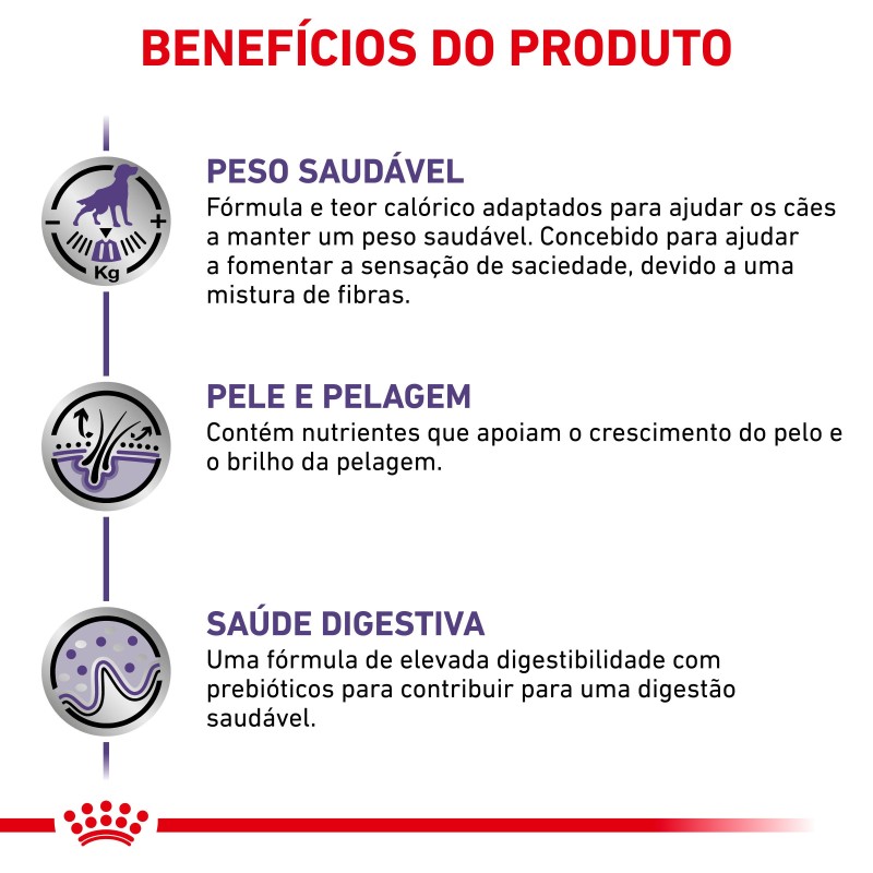 Ração para cão esterilizado - Royal Canin Neutered Adult Medium Dogs