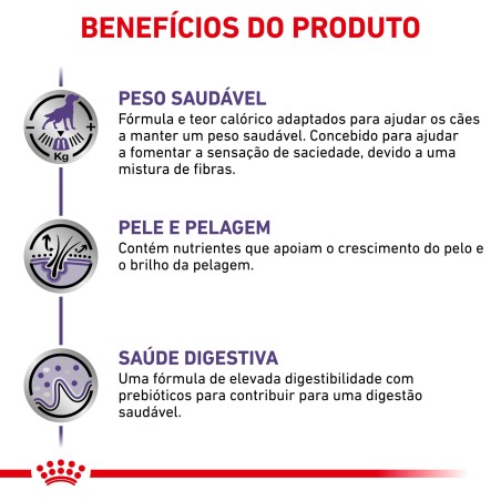 Ração para cão esterilizado - Royal Canin Neutered Adult Medium Dogs
