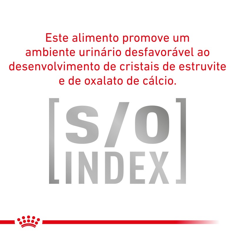 Ração para gato sénior Royal Canin Mature Consult