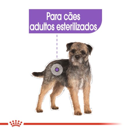 Ração para cão Royal Canin Mini Esterilizado