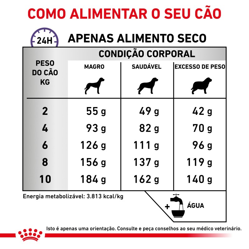 Ração para cão pequeno - Royal Canin Dental Small Dogs Ração para cão pequeno - Royal Canin Dental Small Dogs