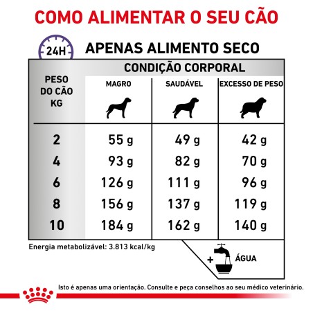 Ração para cão pequeno - Royal Canin Dental Small Dogs