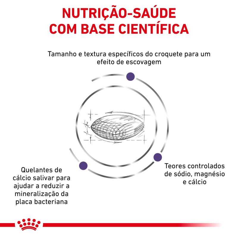 Ração para cão pequeno - Royal Canin Dental Small Dogs Ração para cão pequeno - Royal Canin Dental Small Dogs