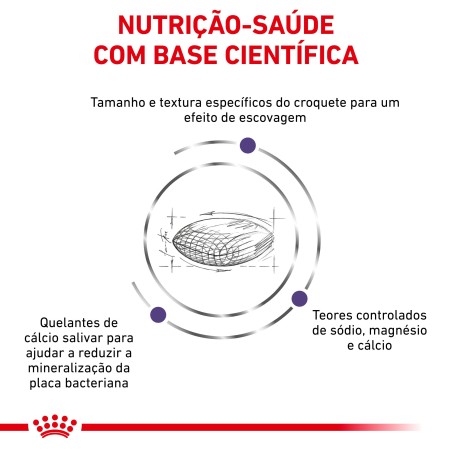 Ração para cão pequeno - Royal Canin Dental Small Dogs
