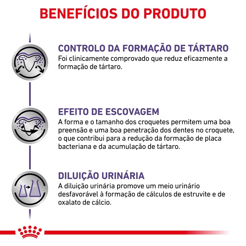 Ração para cão pequeno - Royal Canin Dental Small Dogs Ração para cão pequeno - Royal Canin Dental Small Dogs