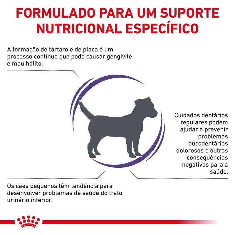 Ração para cão pequeno - Royal Canin Dental Small Dogs Ração para cão pequeno - Royal Canin Dental Small Dogs
