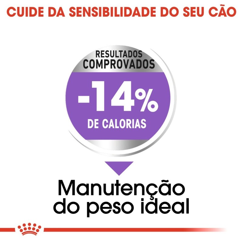 Ração para cão Royal Canin Mini Esterilizado