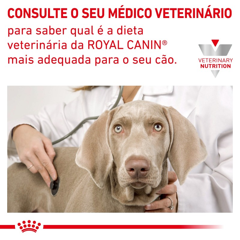 Ração para cão Royal Canin Hypoallergenic Puppy