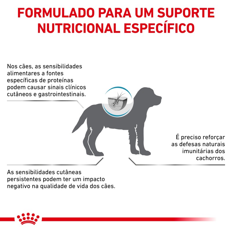 Ração para cão Royal Canin Hypoallergenic Puppy