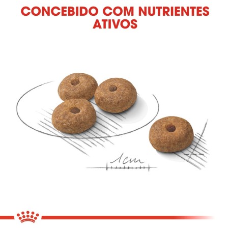 Ração para cão Royal Canin Mini Esterilizado