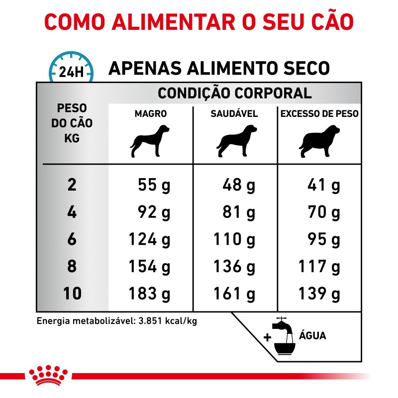 Ração para cão pequeno Royal Canin Anallergenic Small dogs